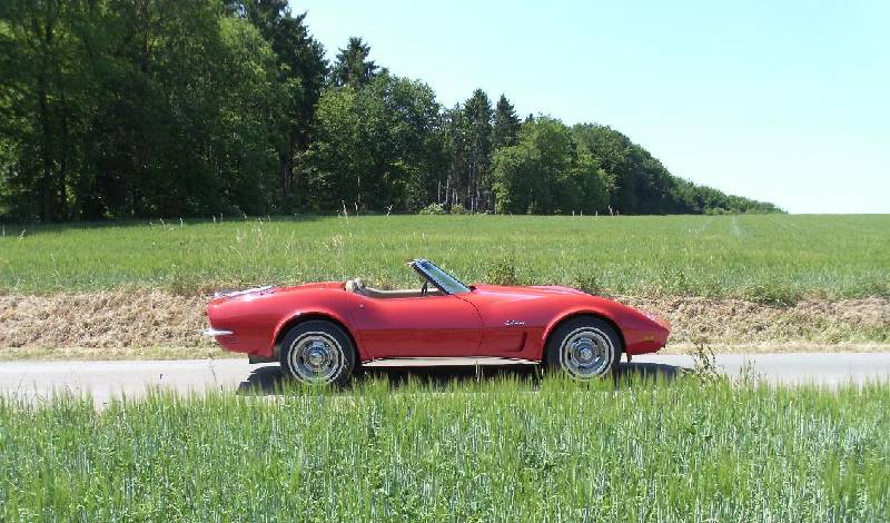 MARTINSRANCH 73 Corvette (4) 